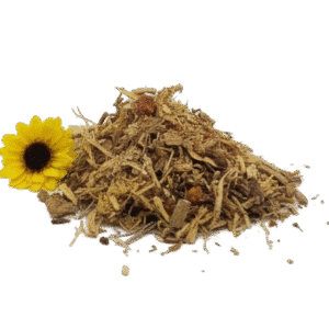 gemini generated image buu9jobuu9jobuu9 (1)