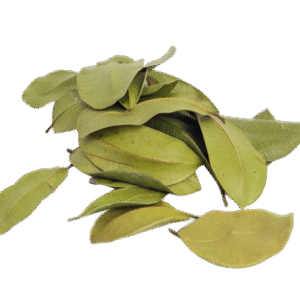 gemini generated image eojbg2eojbg2eojb bg removed.png