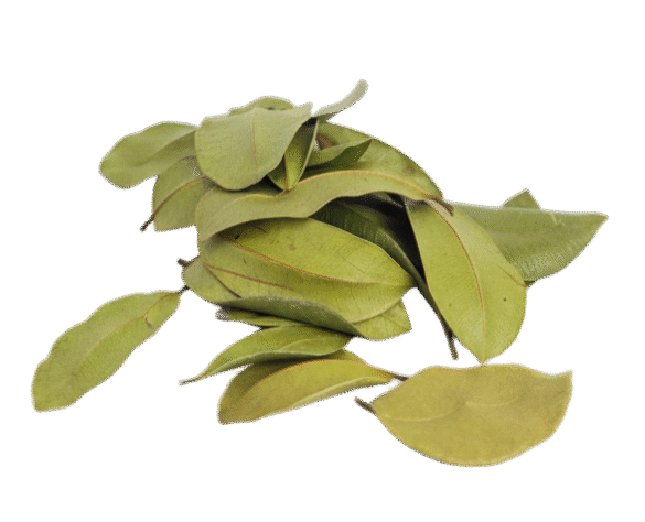 Home gemini generated image eojbg2eojbg2eojb bg removed.png