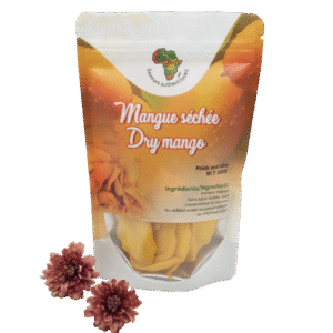 gemini generated image vx2b79vx2b79vx2b bg removed.png